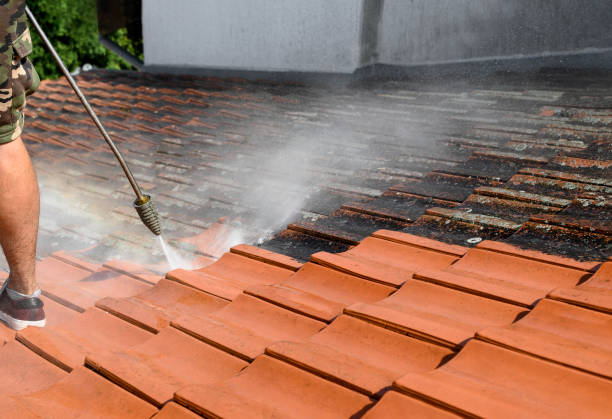 Best Pressure Washing Brick  in Akron, IA