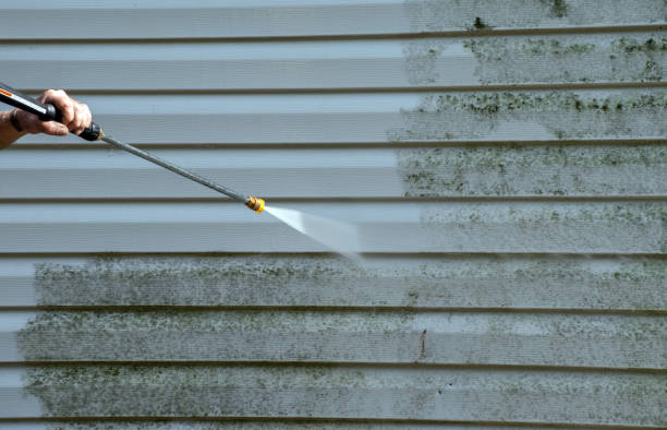 Best Exterior Home Cleaning  in Akron, IA